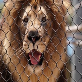 Siatka ogrodzeniowa ze stali nierdzewnej 304 przeciw gryzieniu dla zwierząt Siatka ochronna Lion Lion