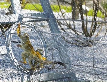 316 Tuleja kablowa z drutu stalowego Siatka ze stali nierdzewnej do siatek dla ptaków